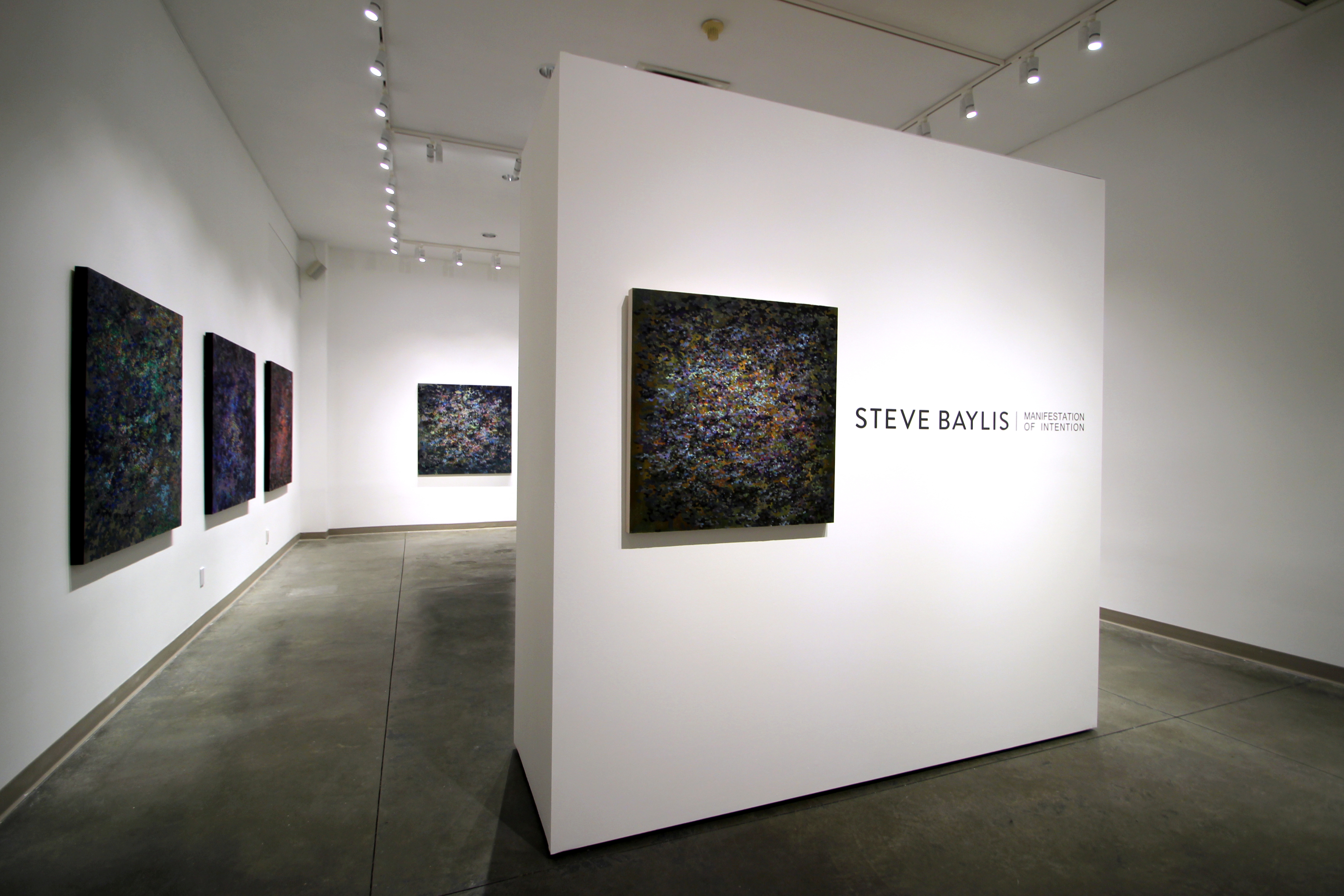 Steve Baylis solo exhibition, Manifestation of Intention — gallery install